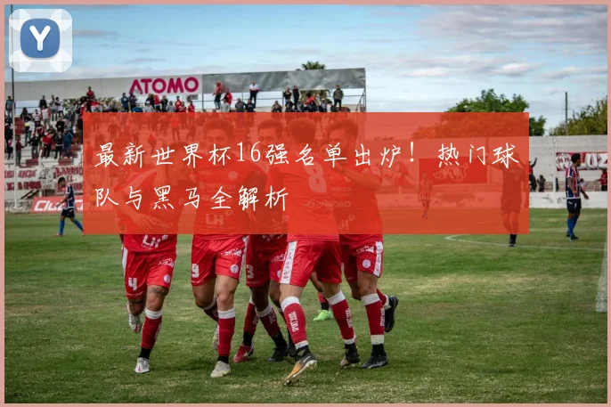 最新世界杯16强名单出炉！热门球队与黑马全解析