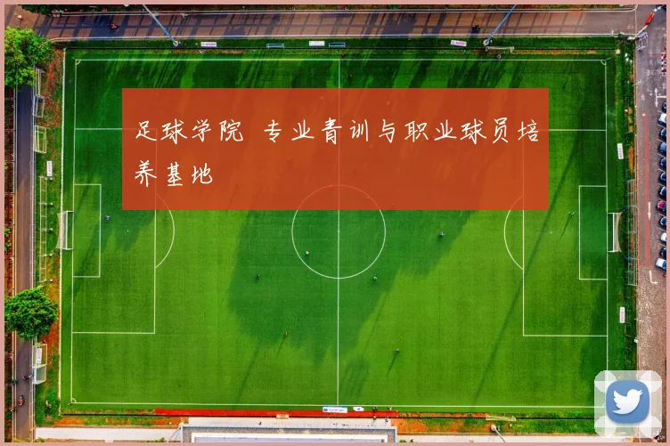 足球学院 专业青训与职业球员培养基地